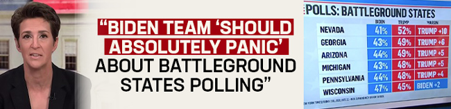 Rachel Maddow: Biden Team 'Should Absolutely Panic' About Battleground States Polling
